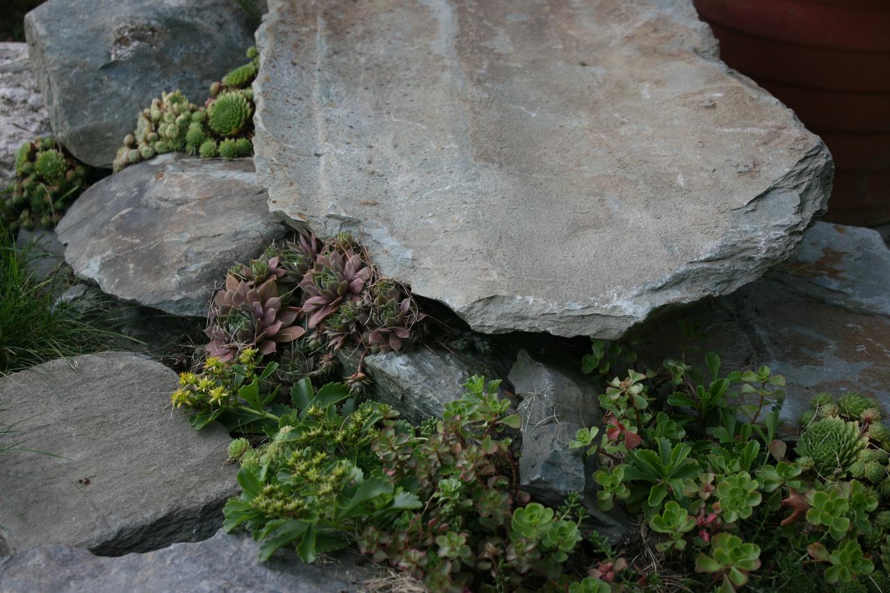 Richmond Victorian Inn - thumb 10