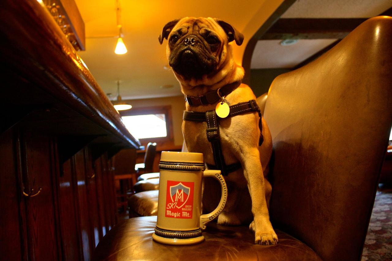 The Upper Pass Lodge - thumb 17