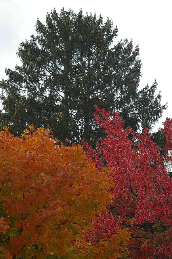 Inn Victoria - thumb 38