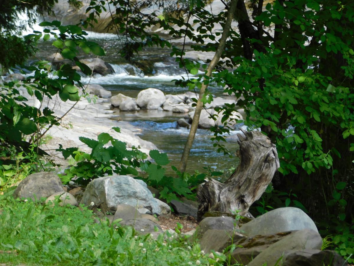 Pine Crest Motel & Cabins - thumb 15