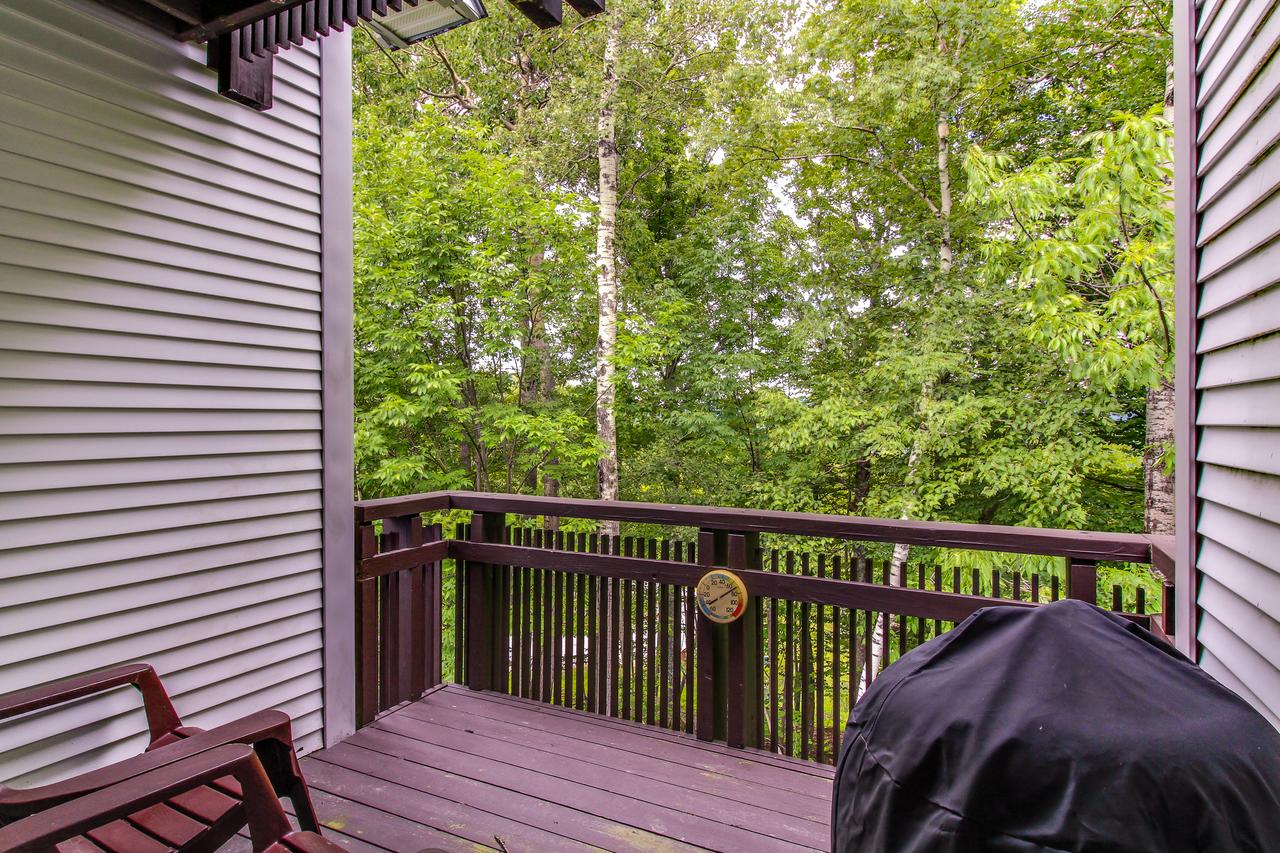 Sunrise: Timberline-G4 - thumb 9