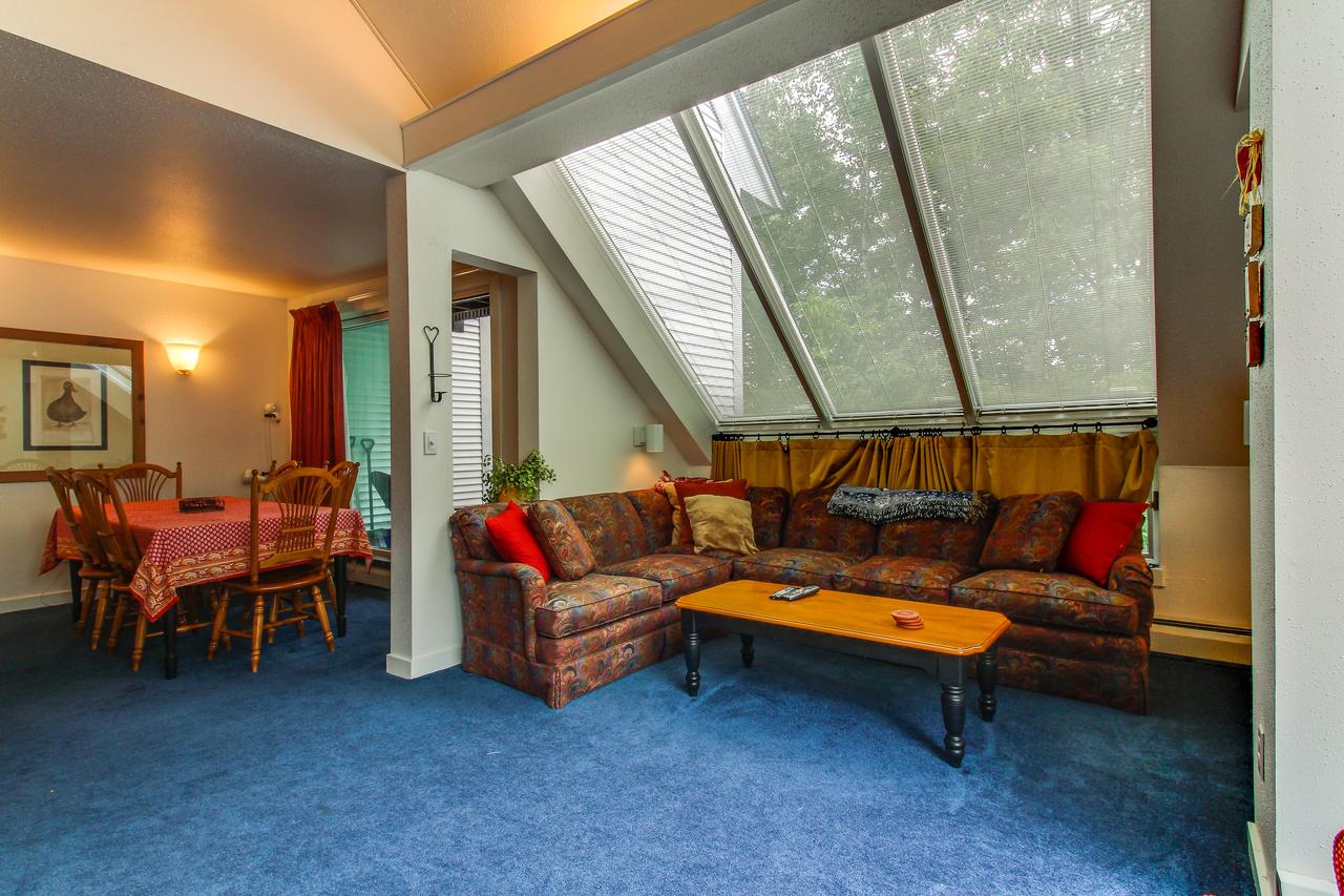 Sunrise: Timberline-G4 - thumb 15