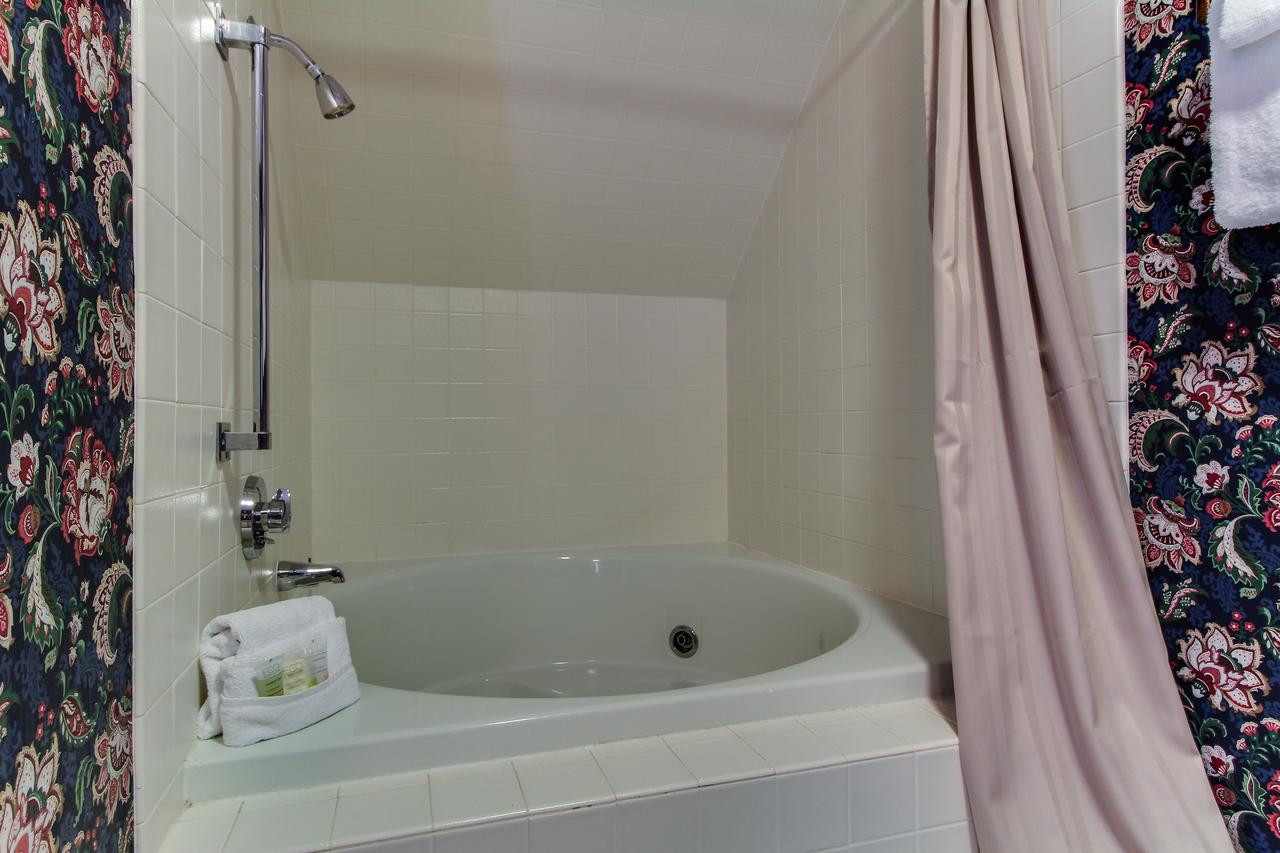 Sunrise: Timberline-G4 - thumb 39