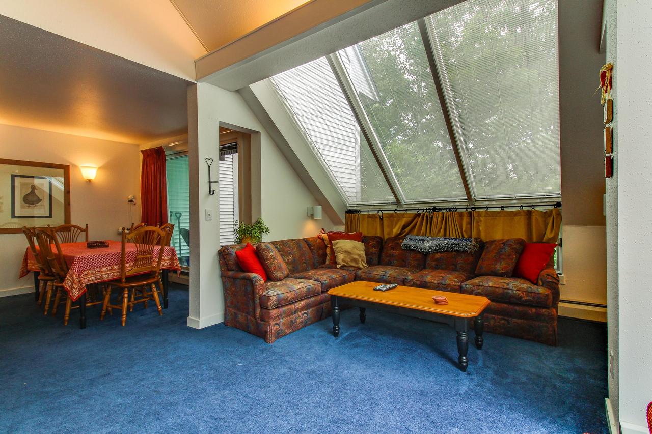 Sunrise: Timberline-G4 - thumb 16