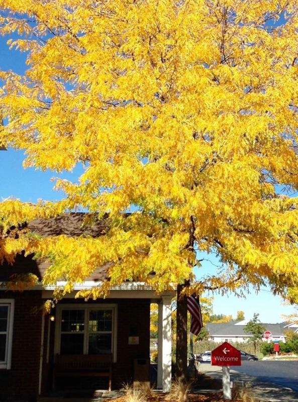 TownePlace Suites Burlington Williston - thumb 7