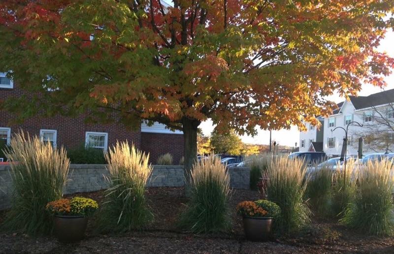 TownePlace Suites Burlington Williston - thumb 8