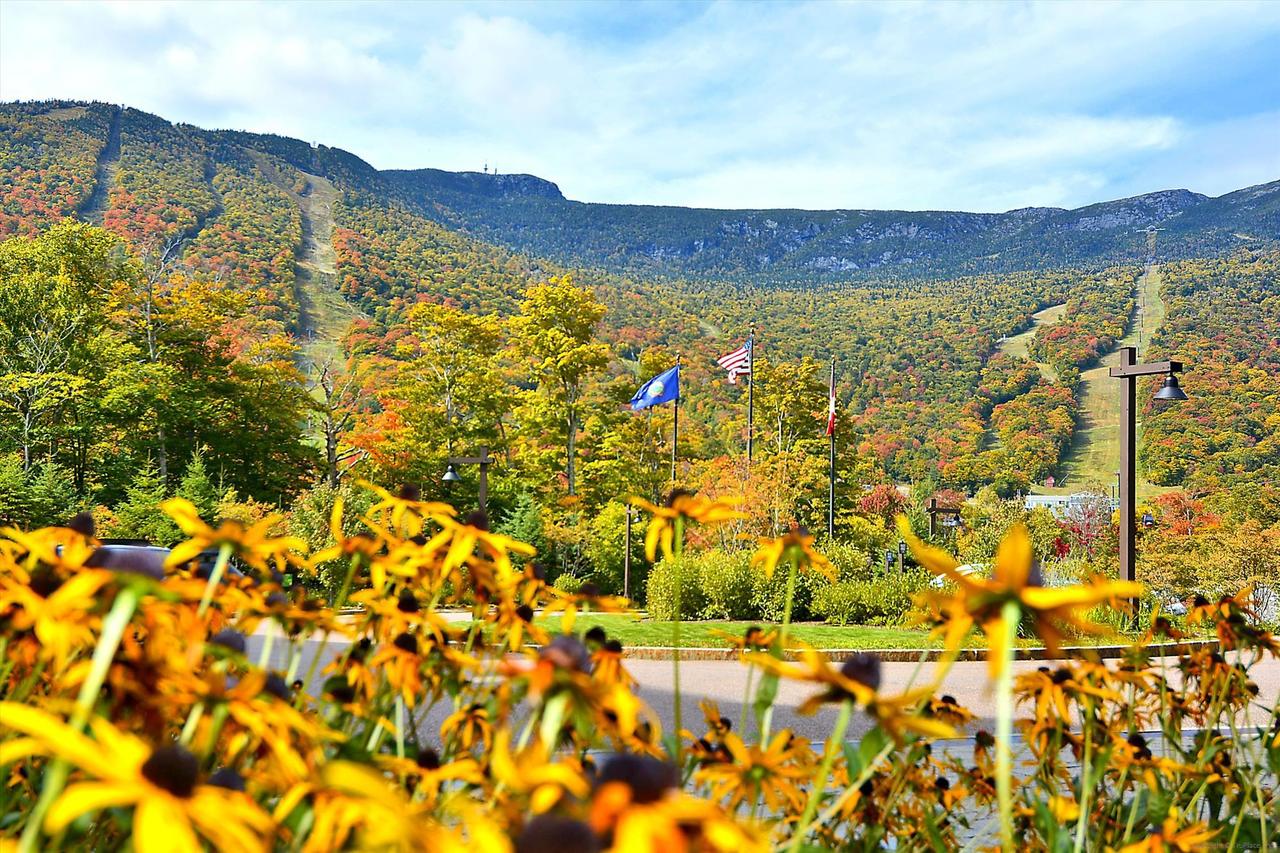 StoweBound At The Lodge At Spruce Peak - thumb 15
