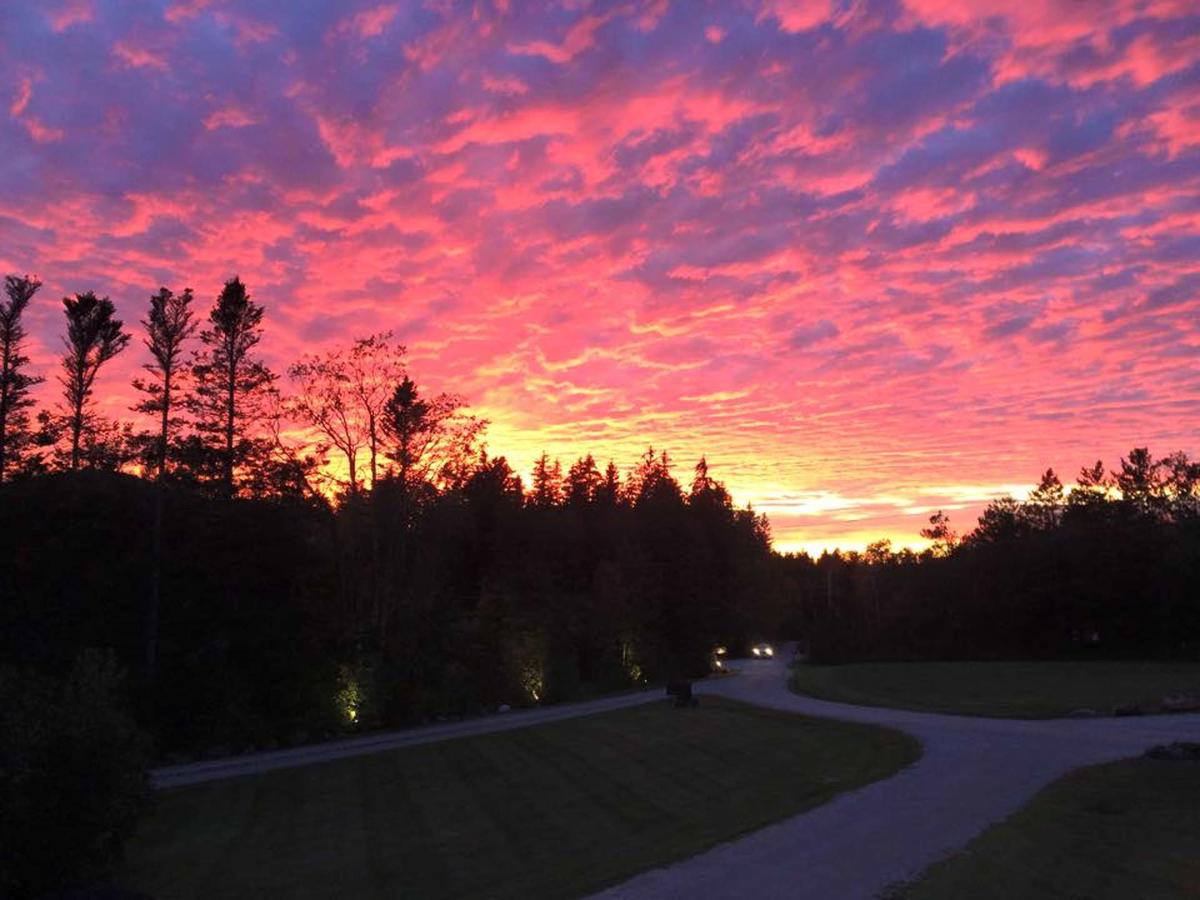 The Red Clover Inn - thumb 37