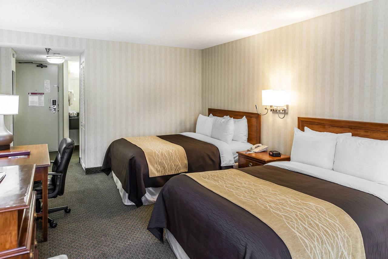 Comfort Inn Pentagon - thumb 26