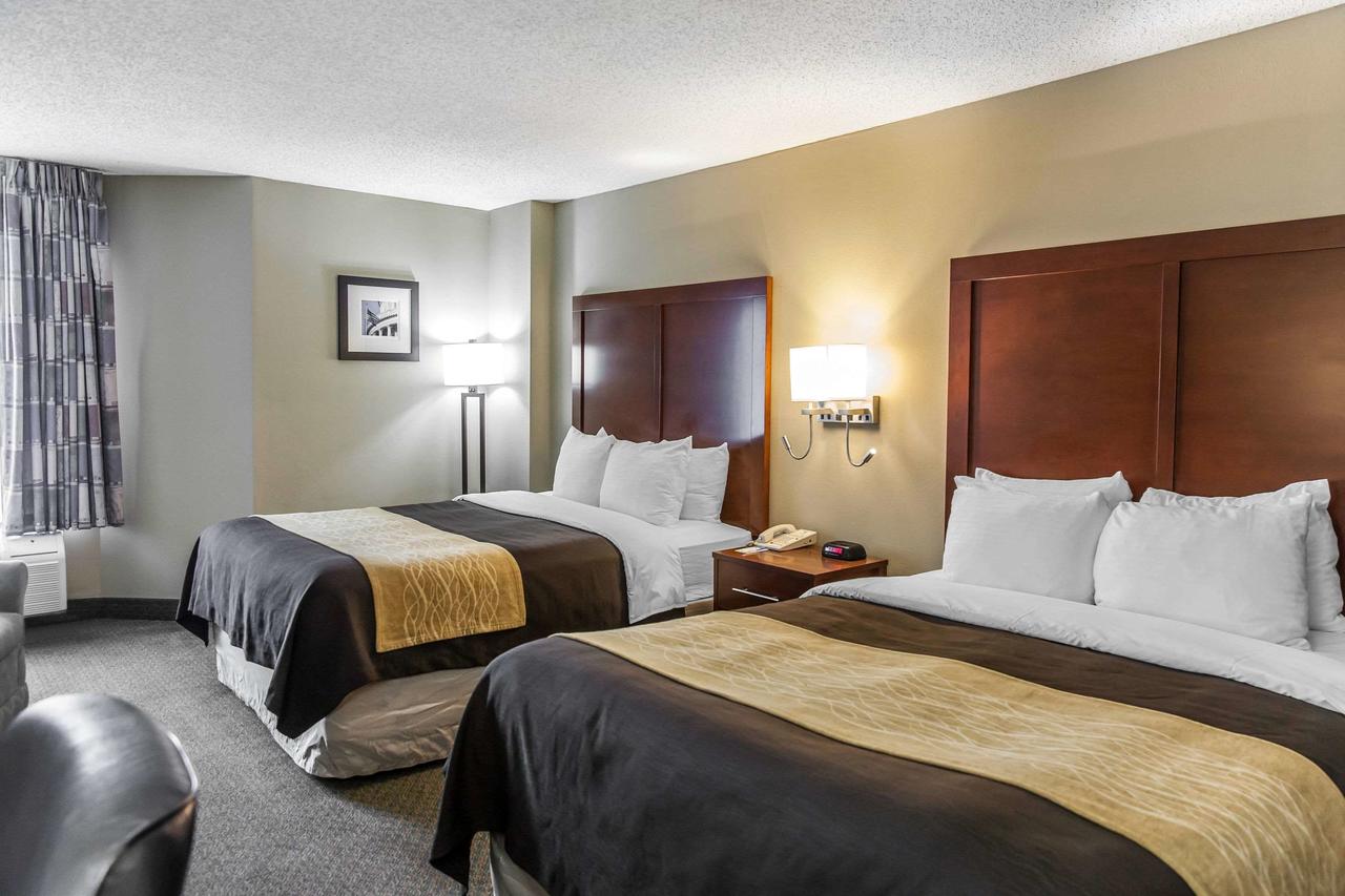 Comfort Inn Pentagon - thumb 6