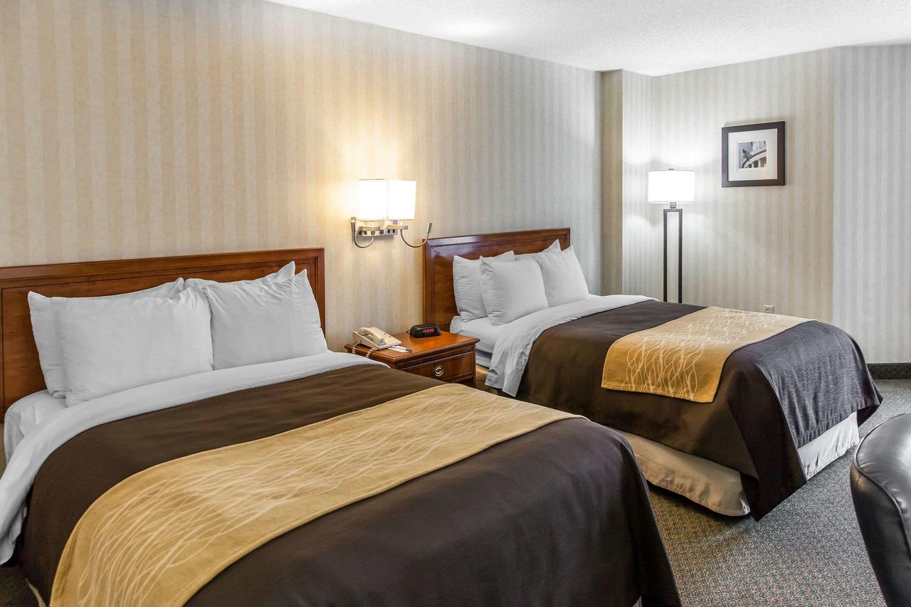 Comfort Inn Pentagon - thumb 15