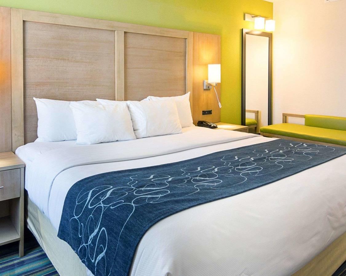 Comfort Suites Beachfront - thumb 11