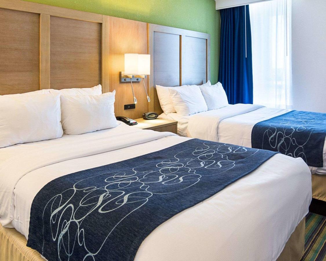 Comfort Suites Beachfront - thumb 14