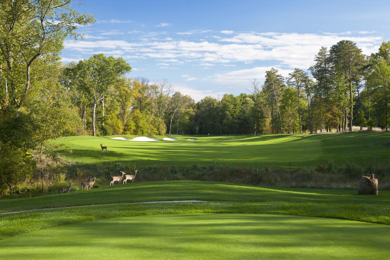 Lansdowne Resort And Spa - thumb 10