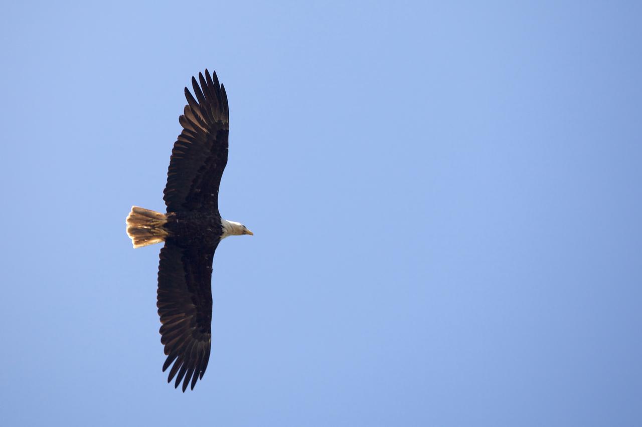 Chincoteague Inn - thumb 8