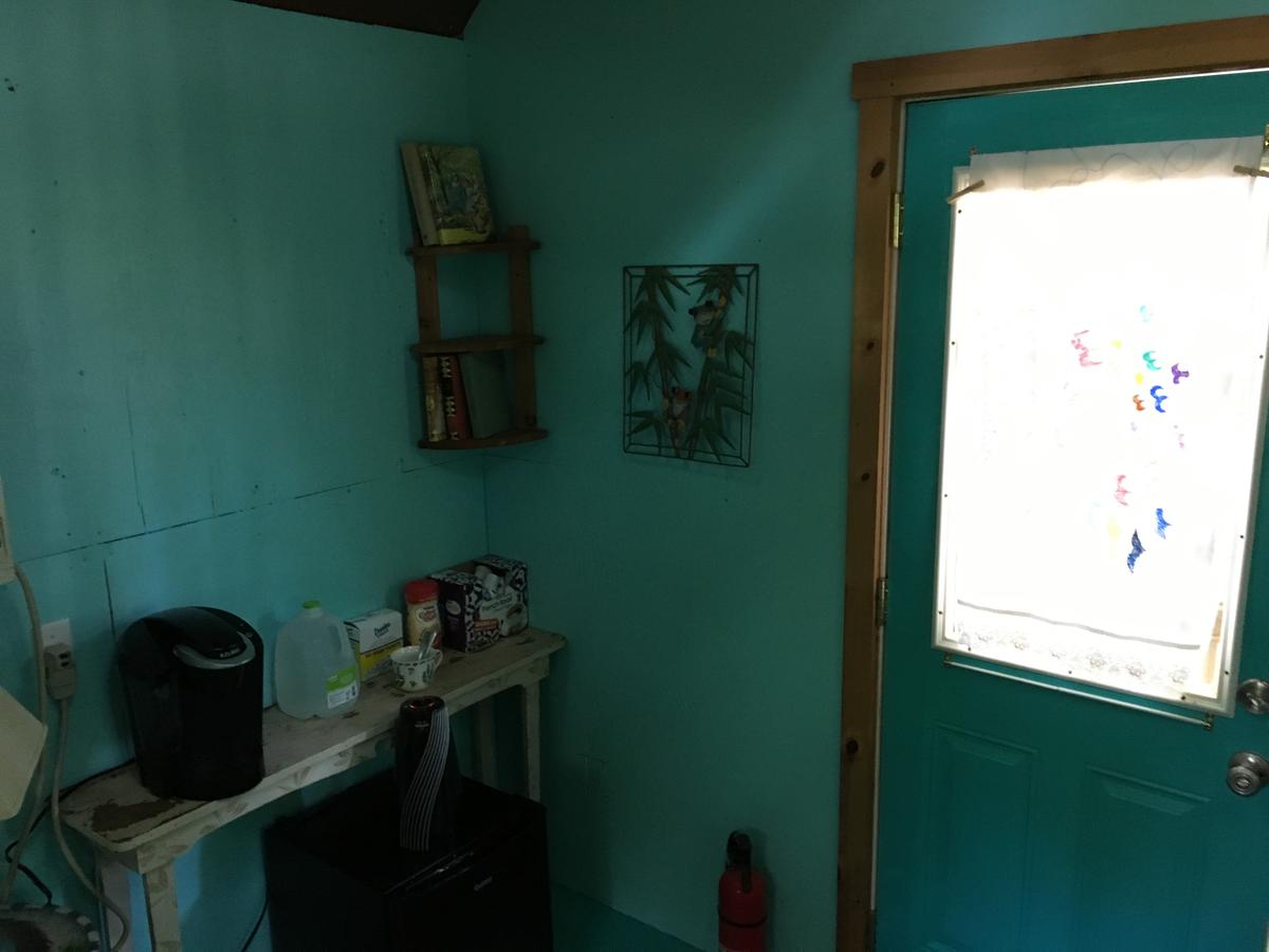 Adorable Tree House - thumb 4