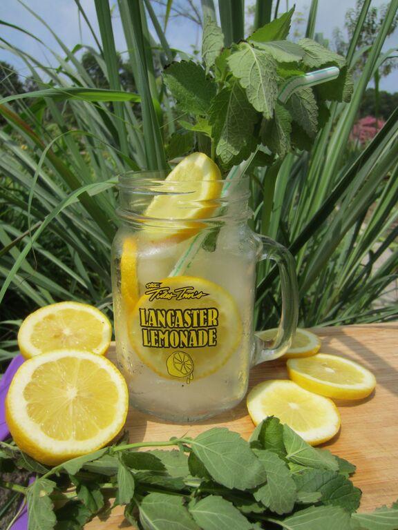 The Tides Inn - thumb 10