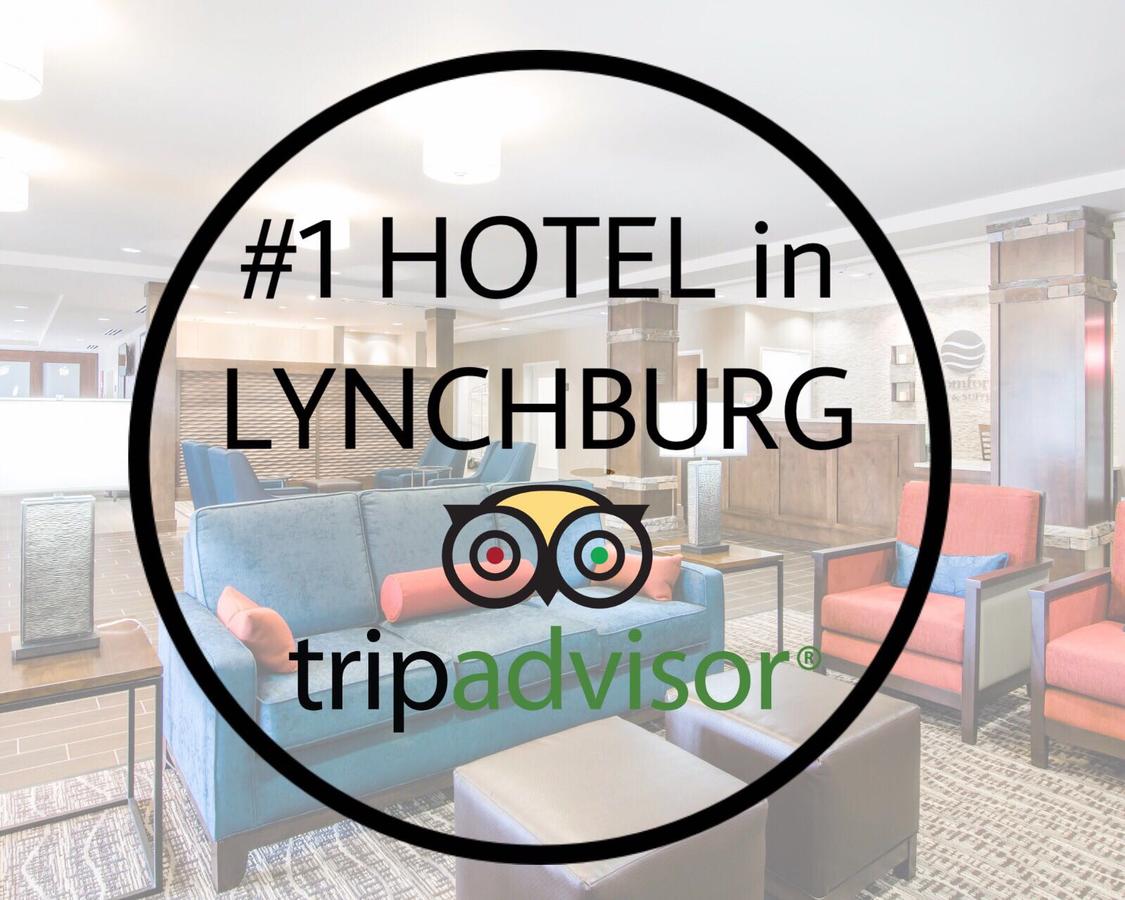Comfort Inn & Suites Lynchburg Airport - University Area - thumb 1