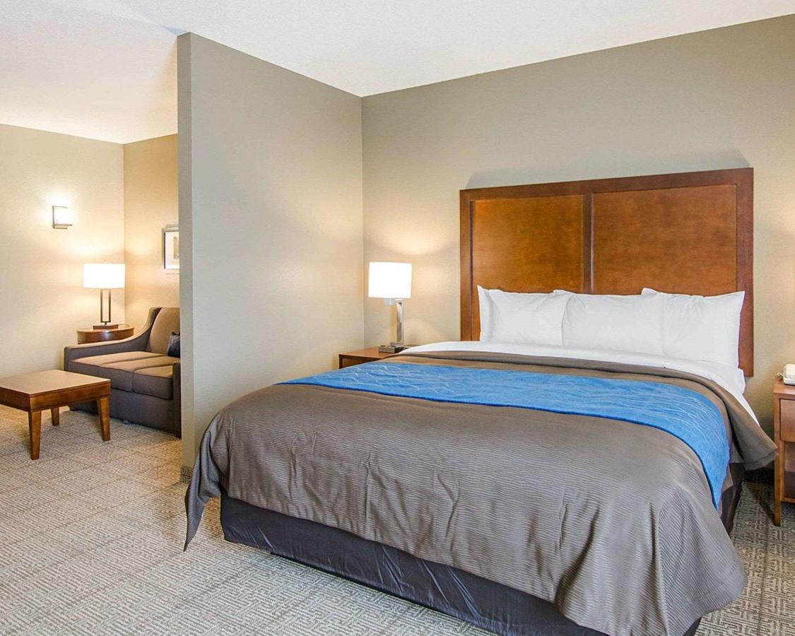 Comfort Inn & Suites Lynchburg Airport - University Area - thumb 23