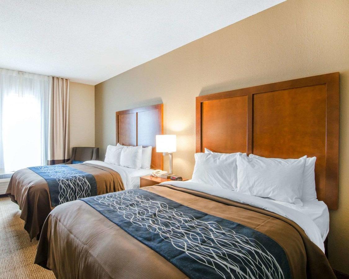 Comfort Inn & Suites Lynchburg Airport - University Area - thumb 11