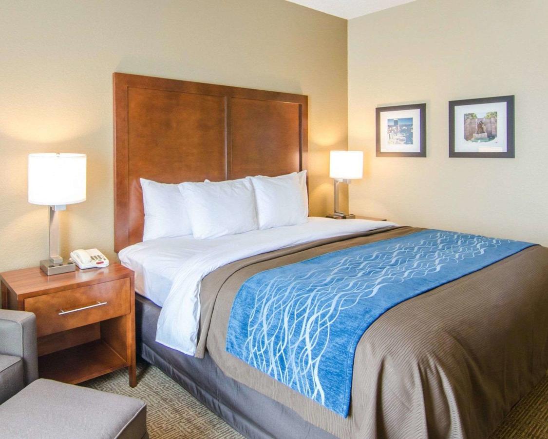 Comfort Inn & Suites Lynchburg Airport - University Area - thumb 16