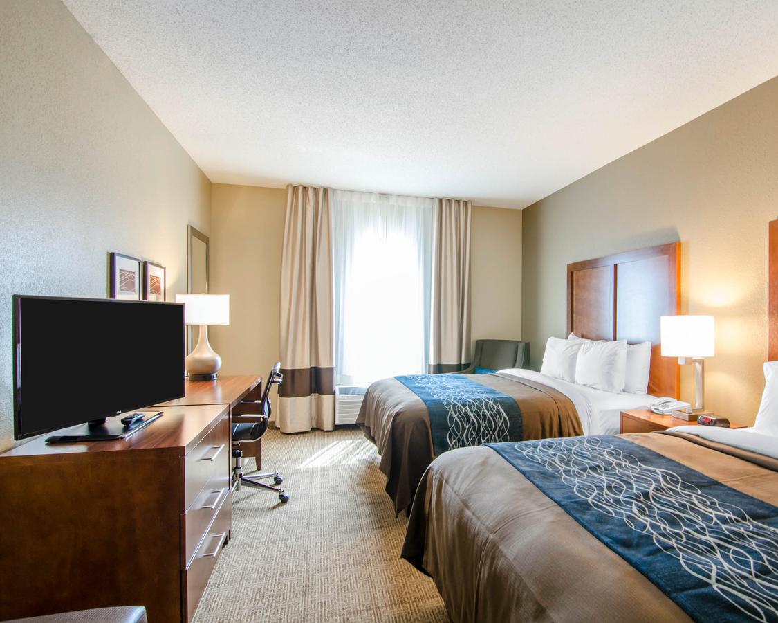 Comfort Inn & Suites Lynchburg Airport - University Area - thumb 4