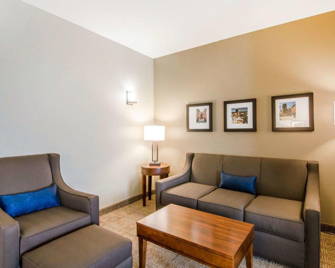 Comfort Inn & Suites Lynchburg Airport - University Area - thumb 21