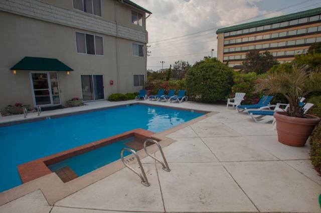 A Shore Pleasure At Playa Rana Condo - thumb 20