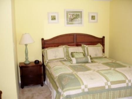 A Shore Pleasure At Playa Rana Condo - thumb 10