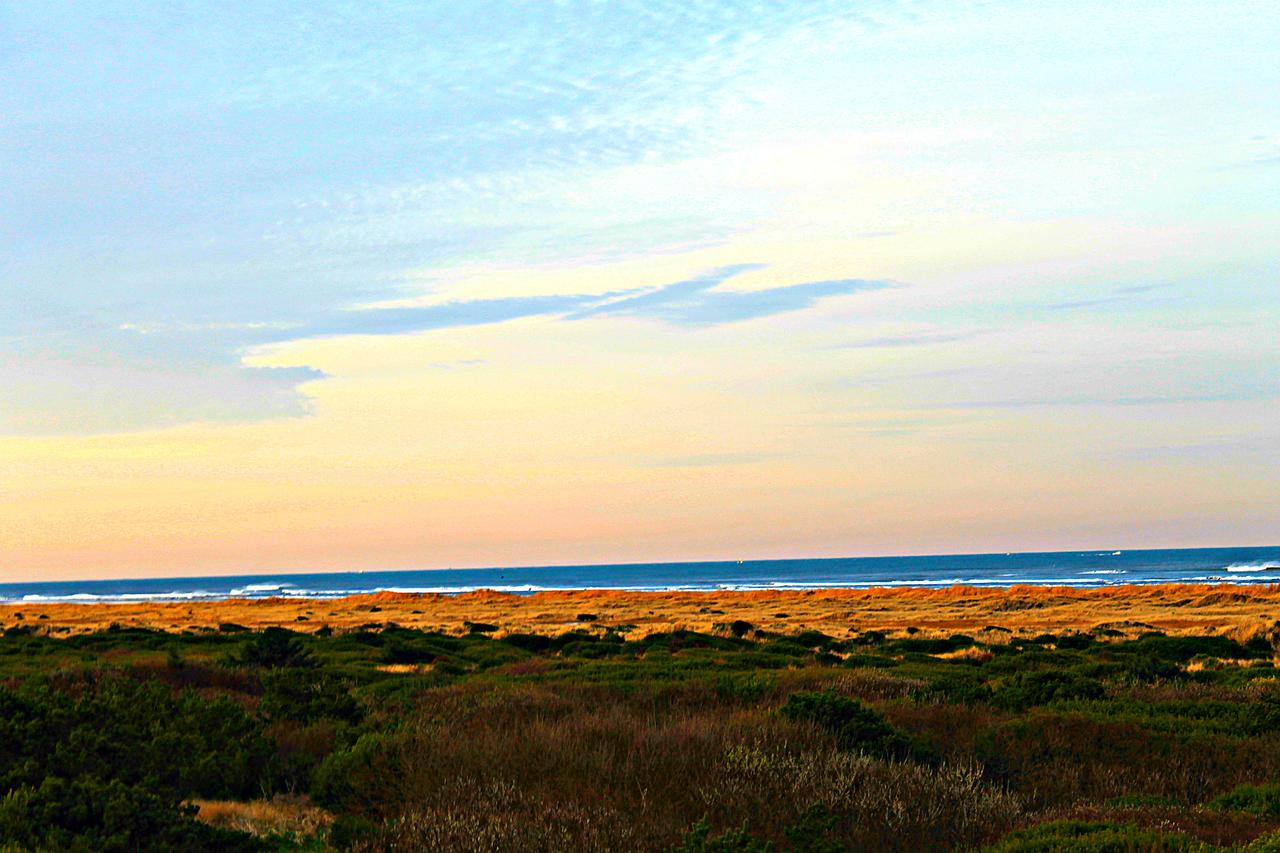 The Polynesian Resort - thumb 15