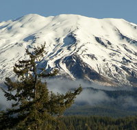 Lone Fir Resort - Tourism Bookings