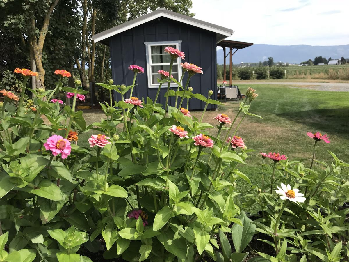 Oostema Farmstead Inn Tiny House - thumb 21