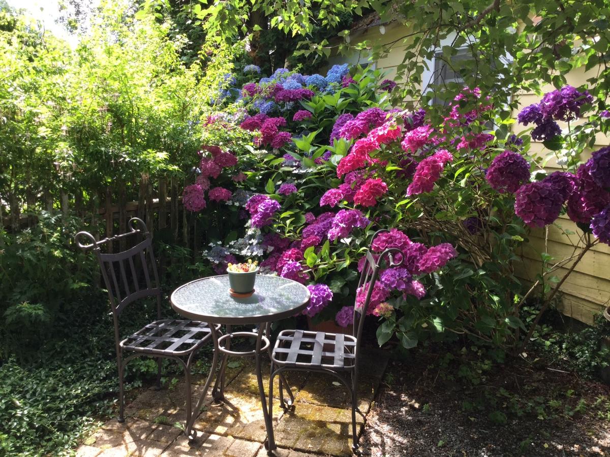 Country Cottage Of Langley - thumb 1