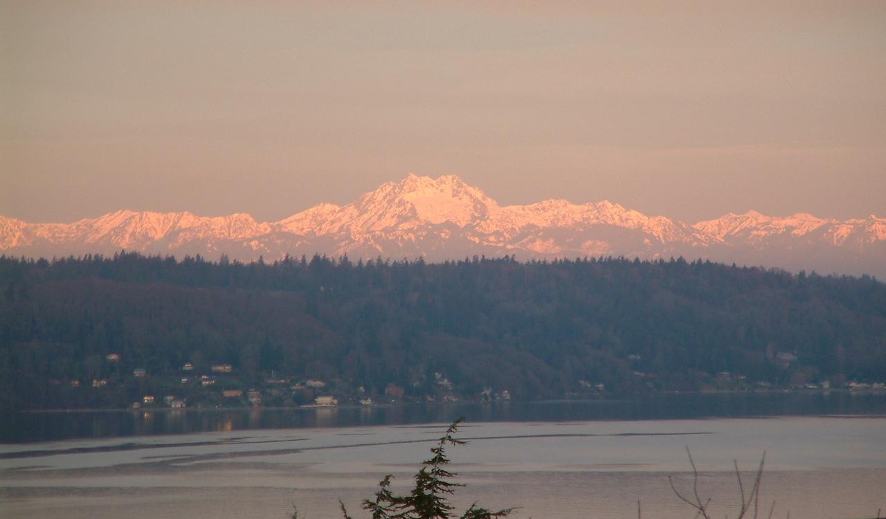Three Tree Point Bed And Breakfast - thumb 17