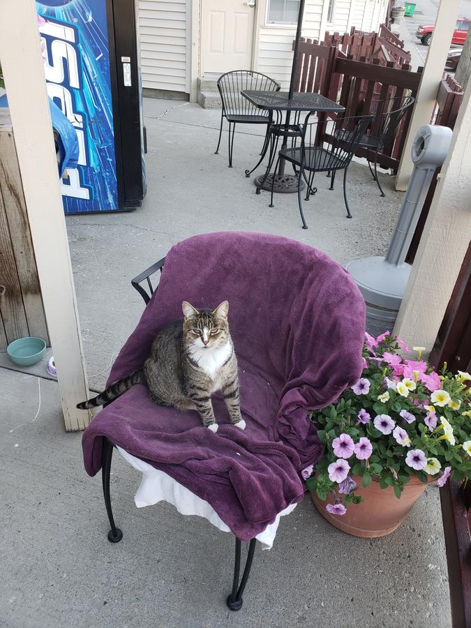 Columbia River Inn - thumb 22