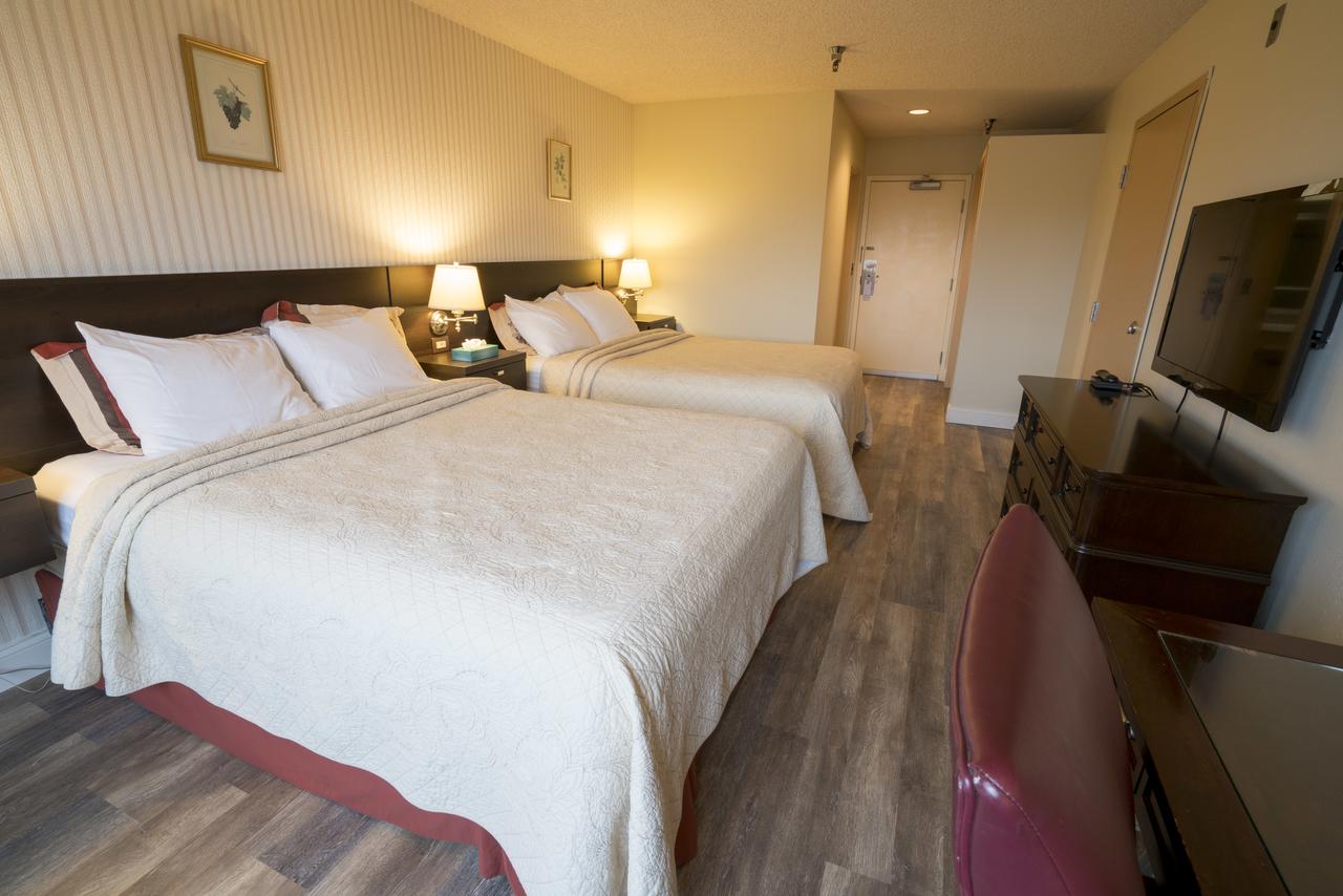 Hotel International - thumb 10