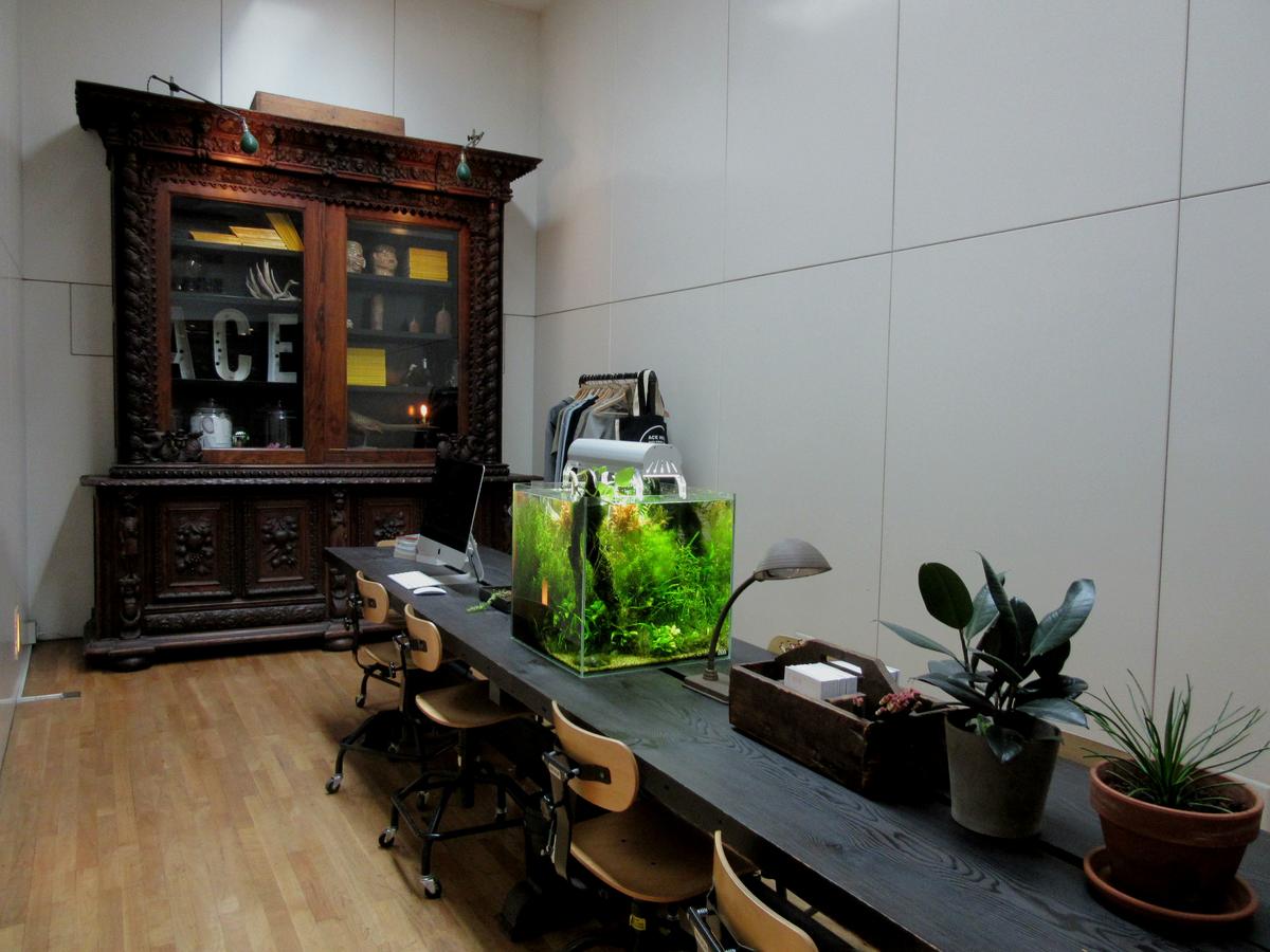 Ace Hotel Seattle - thumb 32