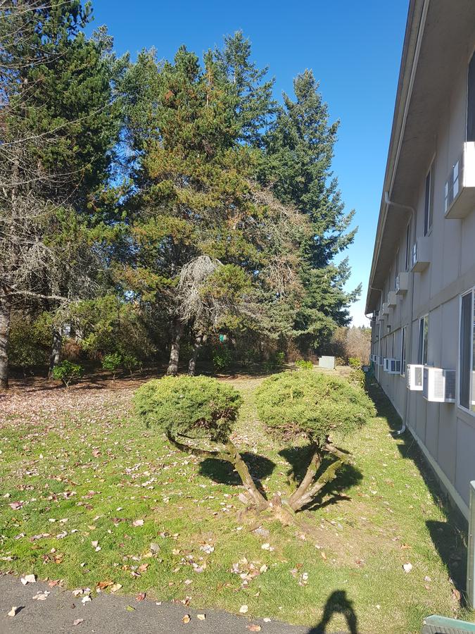 Super 8 By Wyndham Shelton - thumb 13