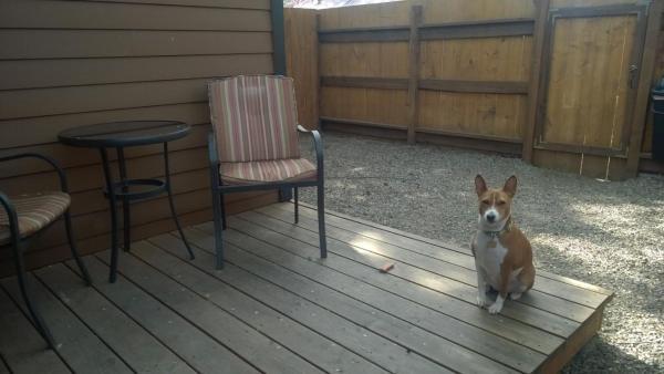 Twisp River Suites - thumb 20