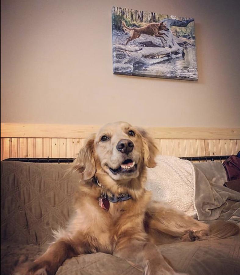 Twisp River Suites - thumb 10