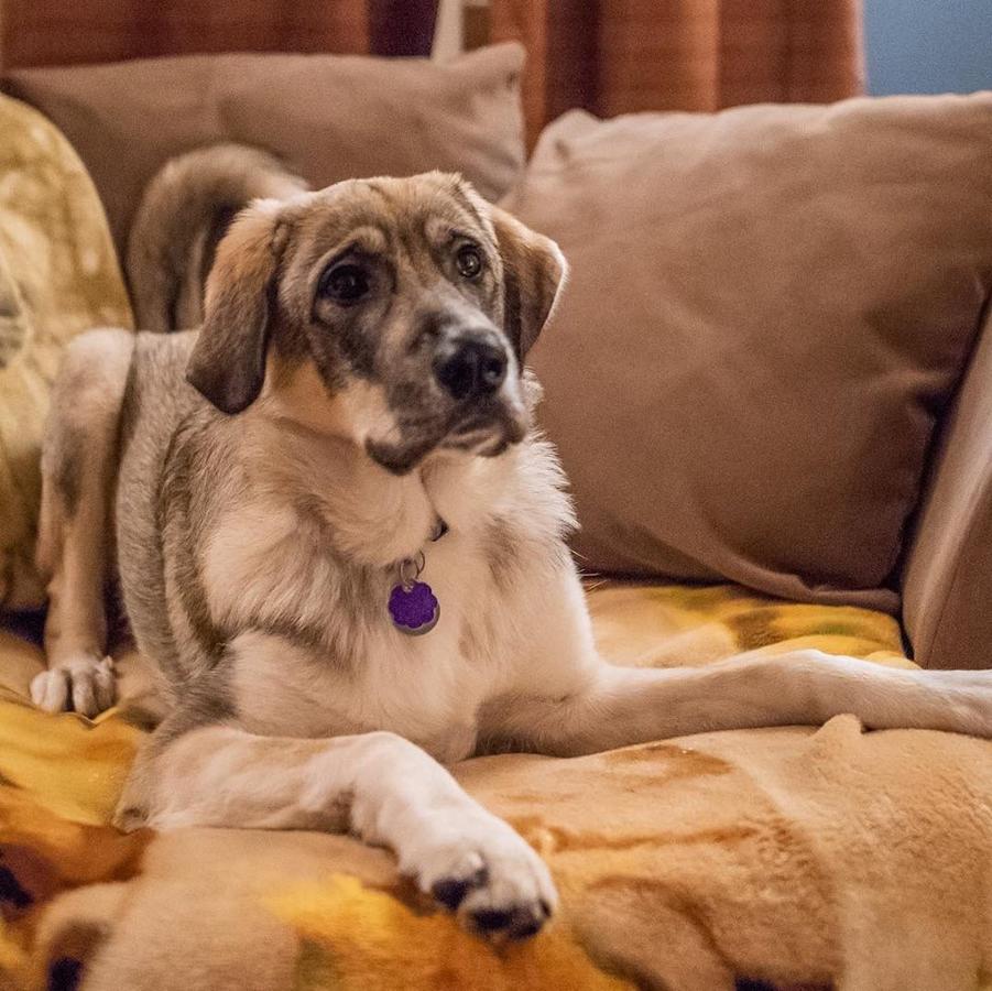 Twisp River Suites - thumb 19