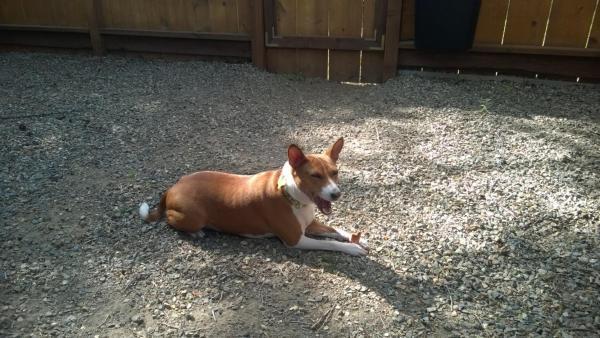 Twisp River Suites - thumb 24