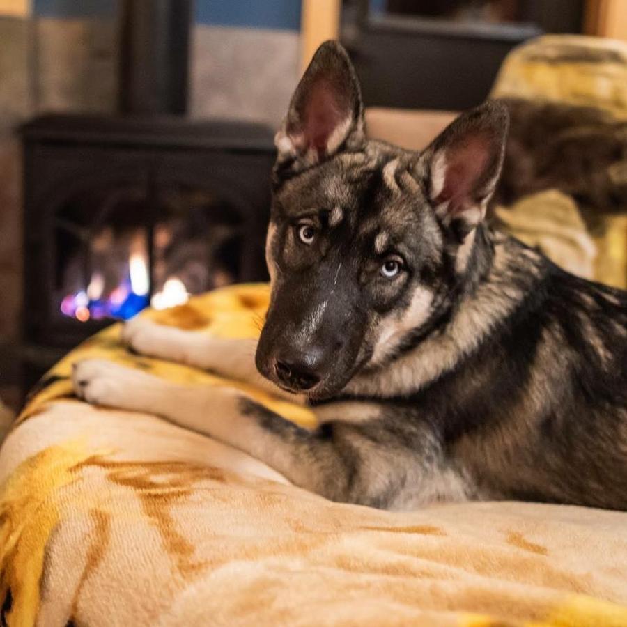 Twisp River Suites - thumb 15