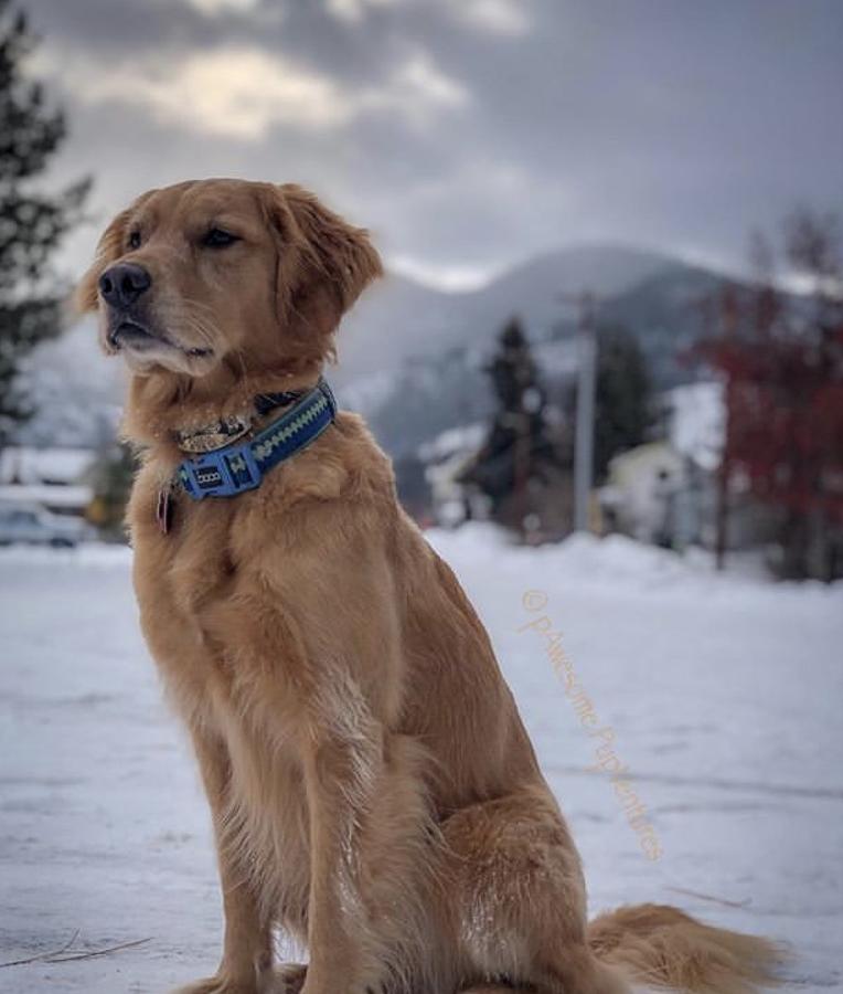 Twisp River Suites - thumb 18