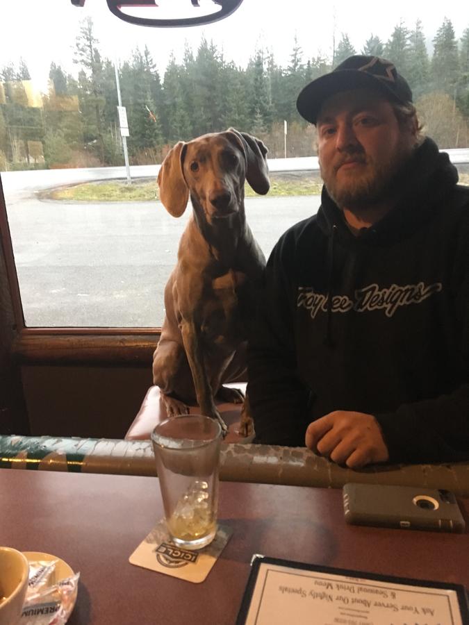 Squirrel Tree Resort - thumb 1