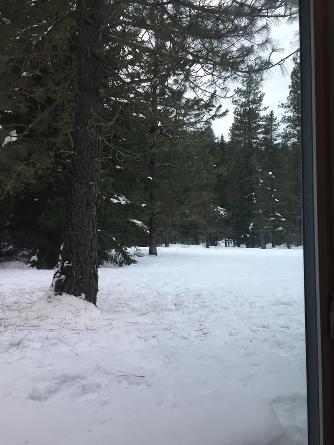 Squirrel Tree Resort - thumb 22