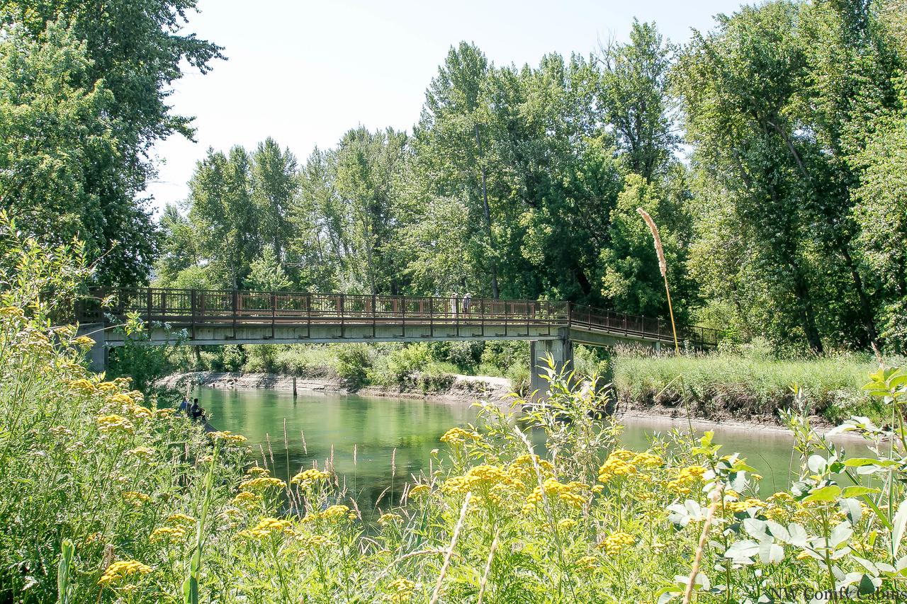 Camp David - thumb 36