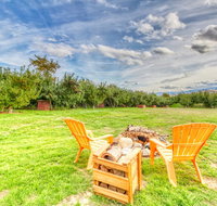 The American Cabin - Tourism Bookings