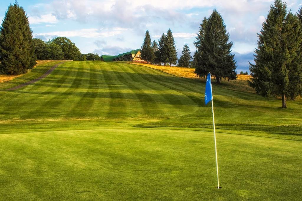 Chalet W/ Loft At Alpine Lake Resort - thumb 30