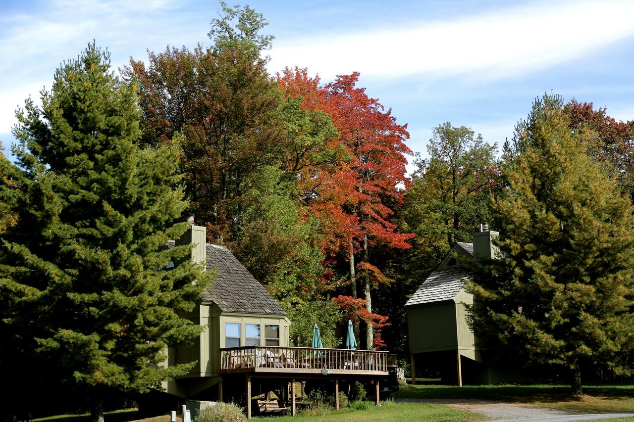 Black Bear Inns - thumb 22